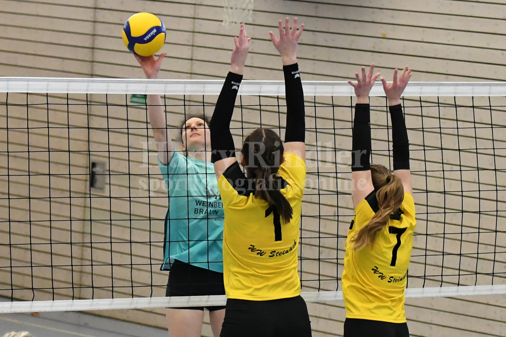TSV Deggendorf Damen  : FC Ruderting | TSV Deggendorf Damen Volleyball - Realisiert mit Pictrs.com
