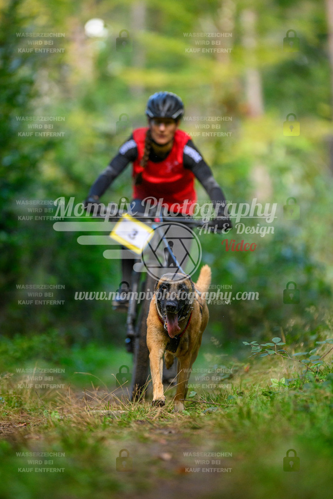 MompixPhotography_Yens2025_B1-5 | PayLife
