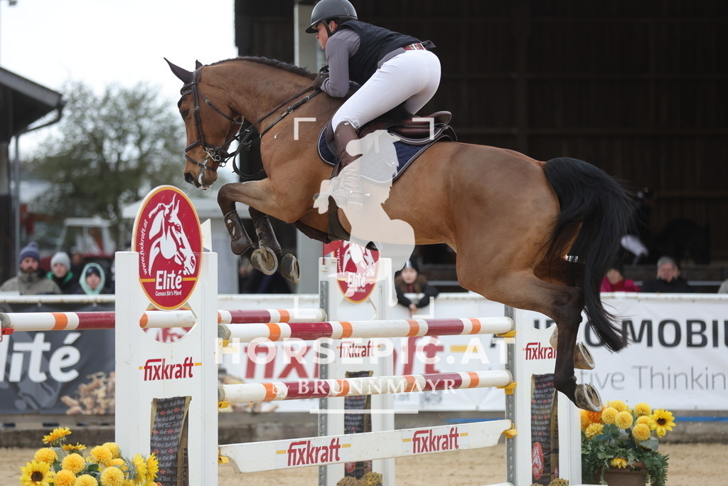 0P6A4495 | Willkommen bei Brunnmayr - Design & Fotografie – Ihrem Spezialisten für Reitturniere und Pferdeveranstaltungen in Oberösterreich, Salzburg und Bayern! Seit über 17 Jahren sind wir leidenschaftlich dabei.