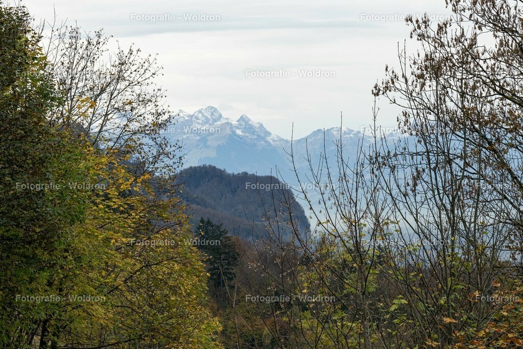 20221109 Rappenlochschlucht Dornbirn-25 | Fotografie Woldron