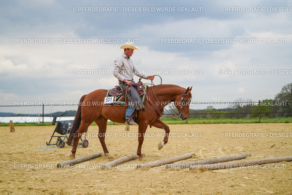 DSC07164 | Pferdegrafie