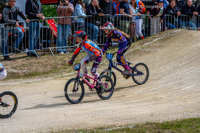 BayBMX2026-06731 | Fotogalerie von Thomas Dettweiler mit Eventbildern und lizenzfreien Fotos. Perfekt als Wandbild, für Büro, Website oder private Nutzung. - Realisiert mit Pictrs.com