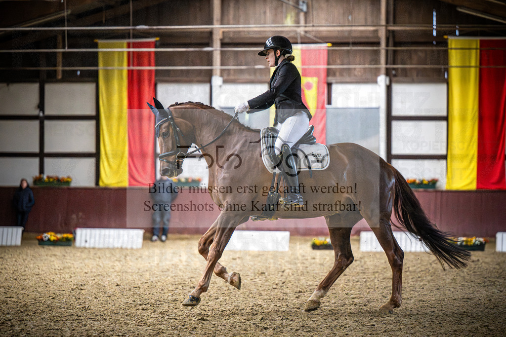 DOS_1262 | Reitturnier Lüdinghausen - Realisiert mit Pictrs.com