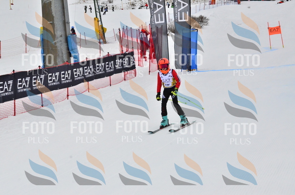 _ELE3819 | holidayphoto