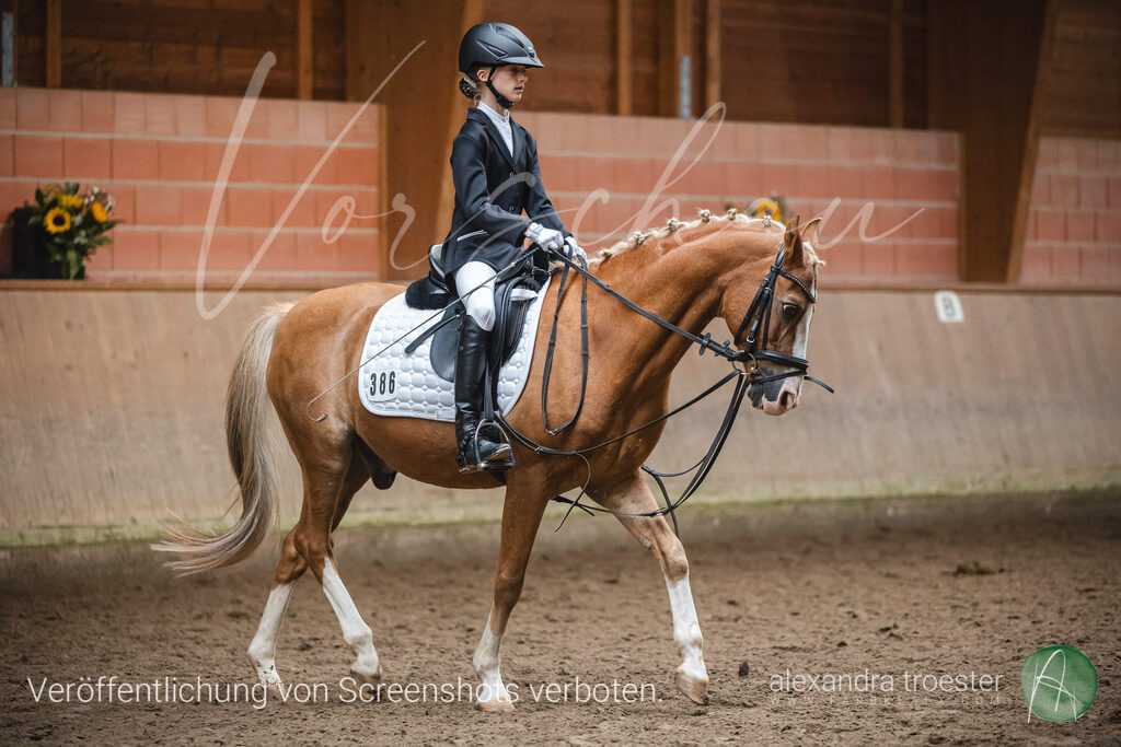 _MG_0711 | farbklaex.com