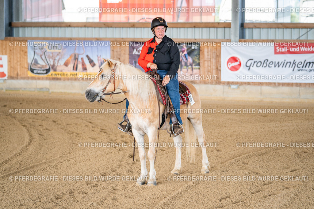 DSC01583 | Pferdegrafie