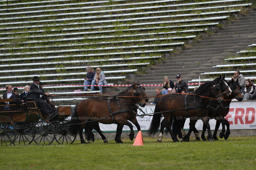 PI26_SHOW_Stoibphotography_DSC6661.JPG | working equitationturnier fotograf videograf stoibphotography marixx film working equitation deutschland reitsport turnierfotografie eventfotografie equestrian events