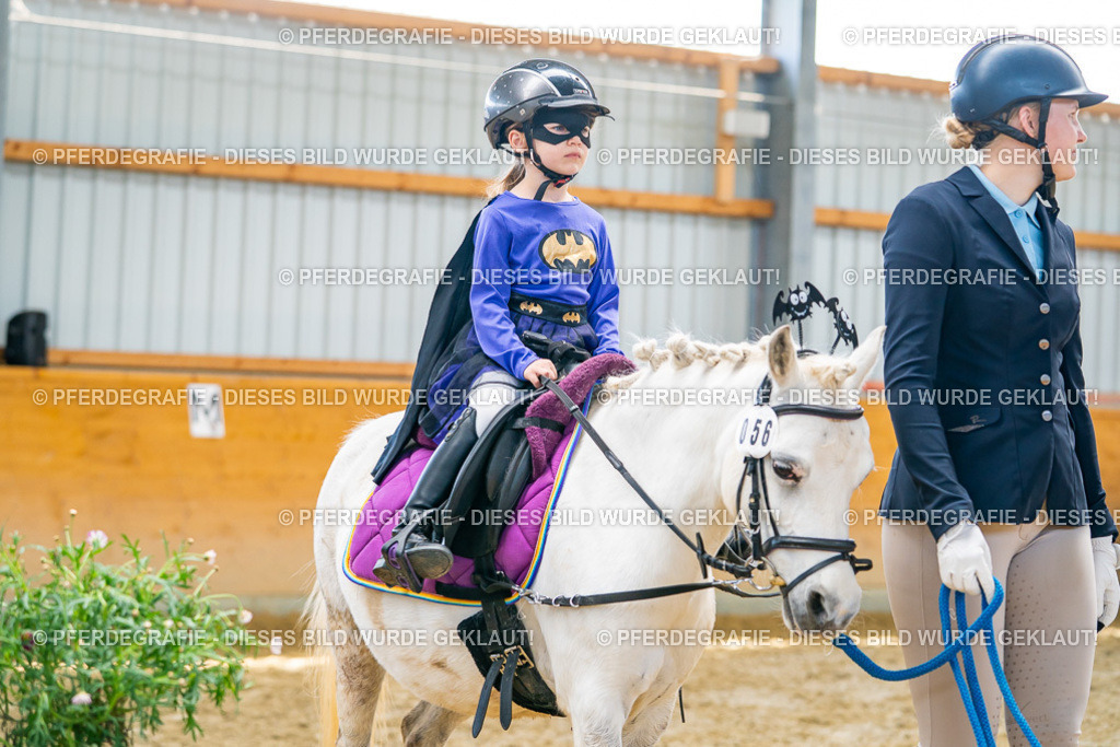 DSC09876 | Pferdegrafie