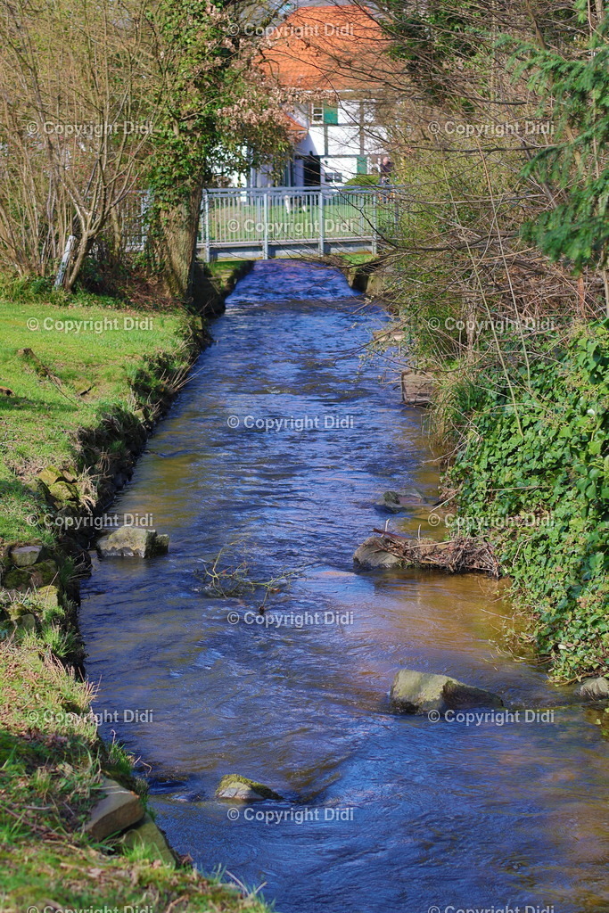 IMG_2142 | Didi - Realisiert mit Pictrs.com