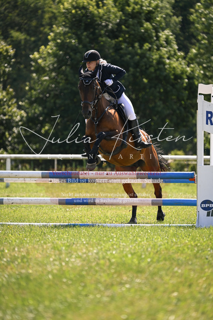 DSC_8916 | Pferde- und Turnierfotografie in Westsachsen. Pferdeportraits, Auftragszeichnungen und intuitive Kunst.