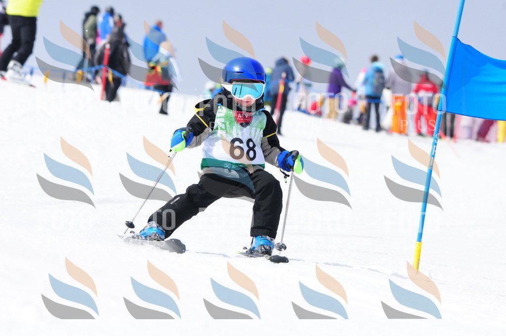 A3653 | holidayphoto