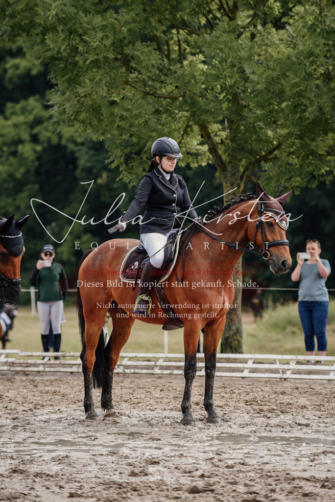 DSC_8451 | Pferde- und Turnierfotografie in Westsachsen. Pferdeportraits, Auftragszeichnungen und intuitive Kunst.