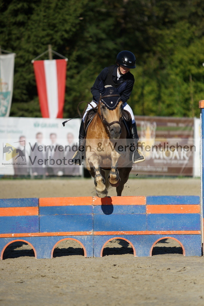 DSC09517 | equestrian-live-com