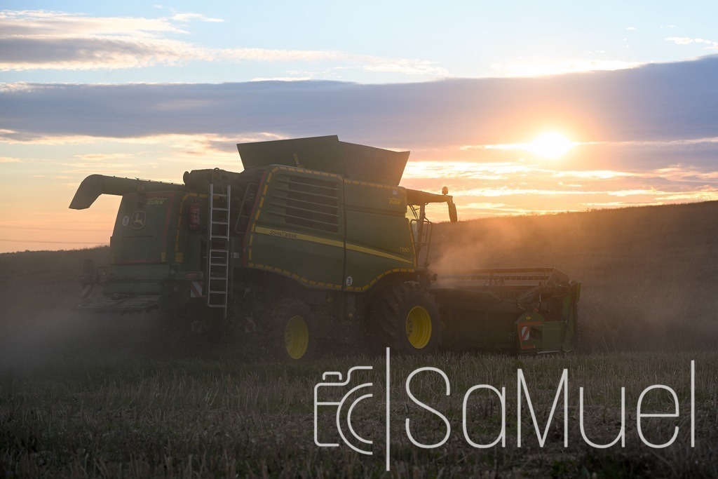 SML_5426 | Sa-Muel - Realisiert mit Pictrs.com