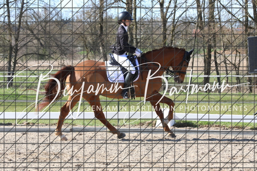 AZ2A5177 | Benjamin Bartmann Photomoments