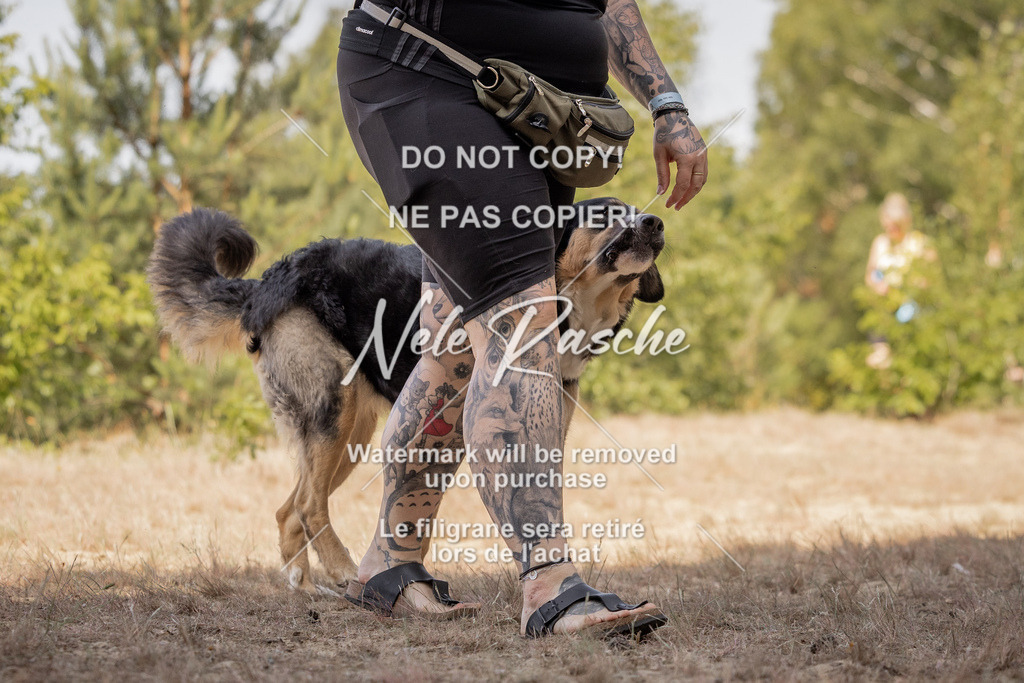nelerasche_soDD2_237 | nelerasche