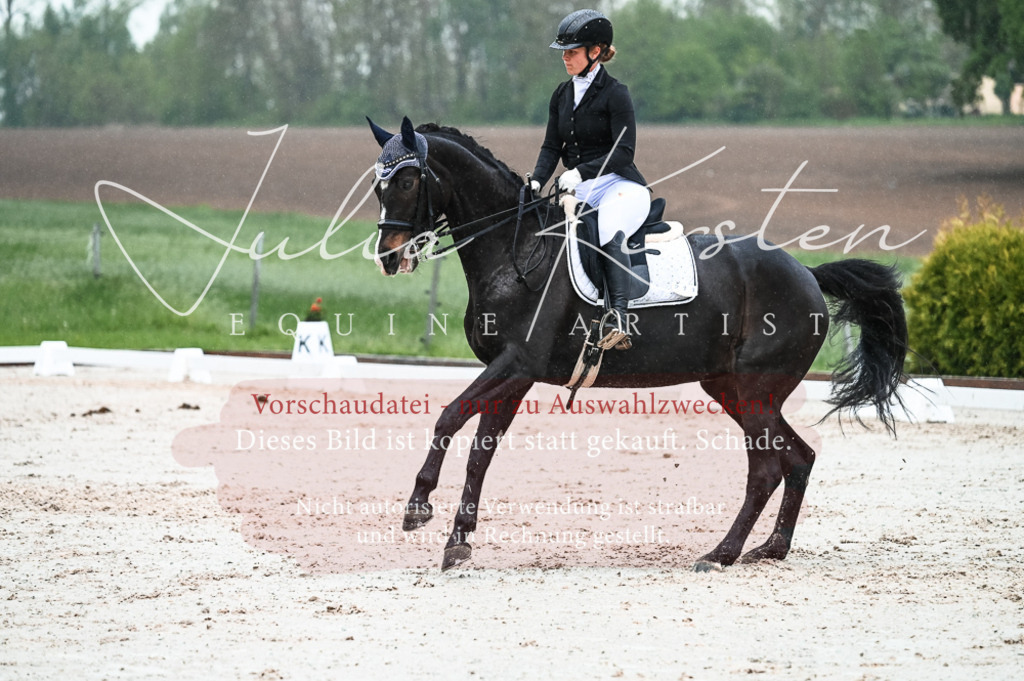 DSC_4512 | Pferde- und Turnierfotografie in Westsachsen. Pferdeportraits, Auftragszeichnungen und intuitive Kunst.