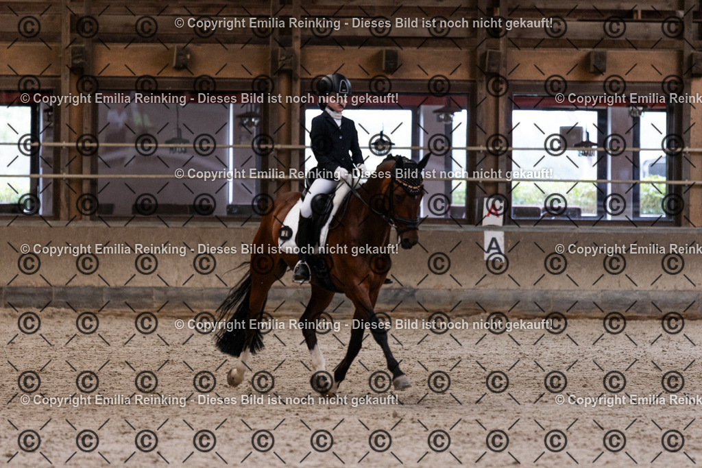 CL5A5078 | Emilia Reinking Fotografie - Realisiert mit Pictrs.com