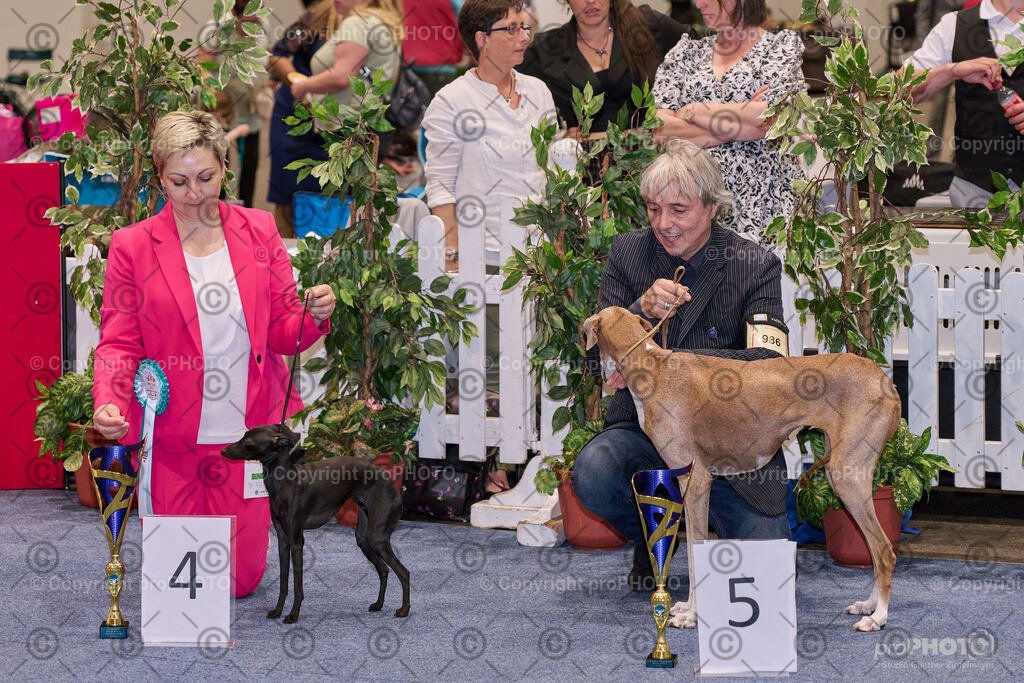 202406_ÖKV-IHA-Tulln24_NZ9_7890 | proPHOTO - Realisiert mit Pictrs.com