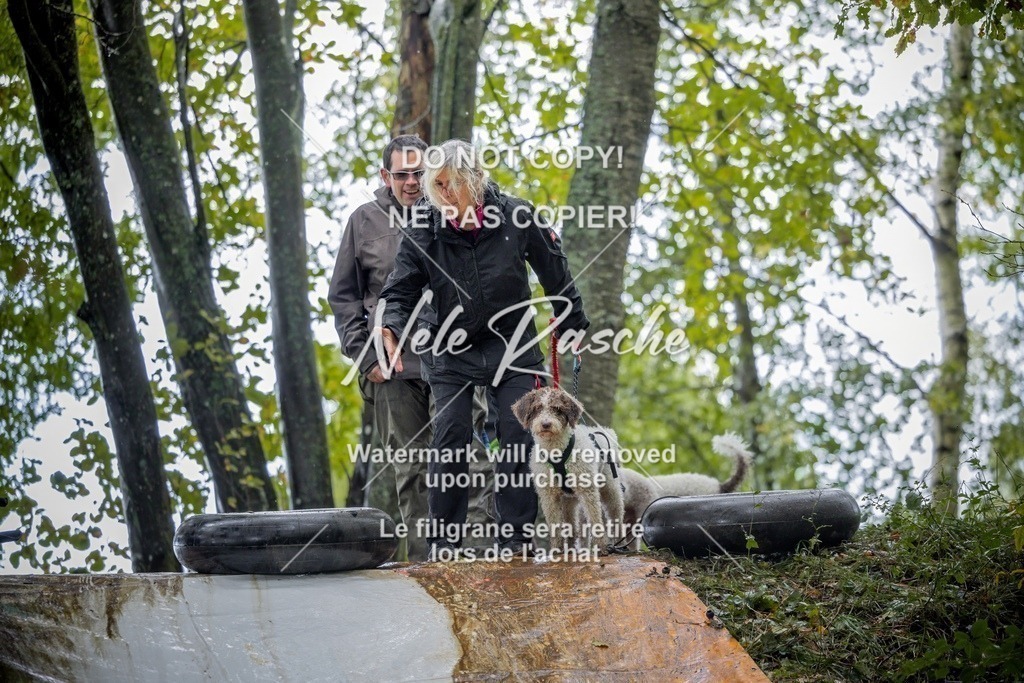 nelerasche_Hunsrück_Sa1430-1500_50-final | nelerasche