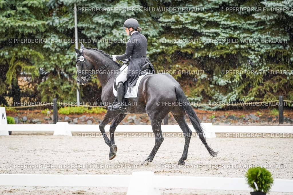 DSC08443 | Pferdegrafie