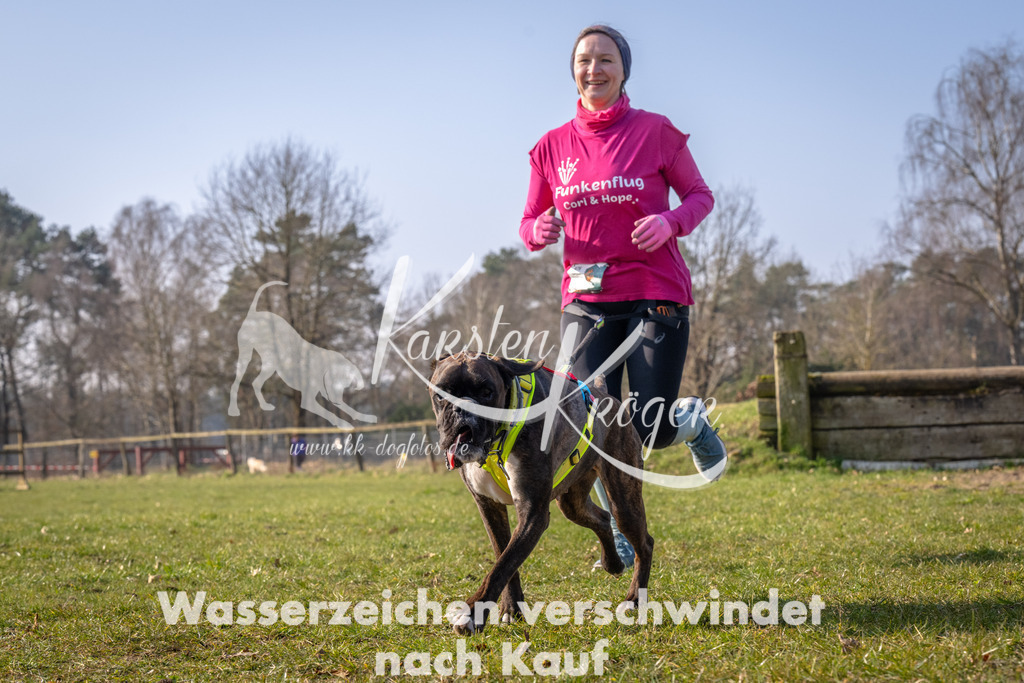 _ZZ93498 | kk-dogfotos
