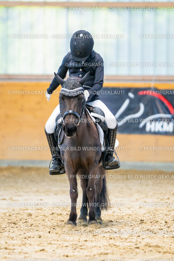 DSC06636 | Pferdegrafie