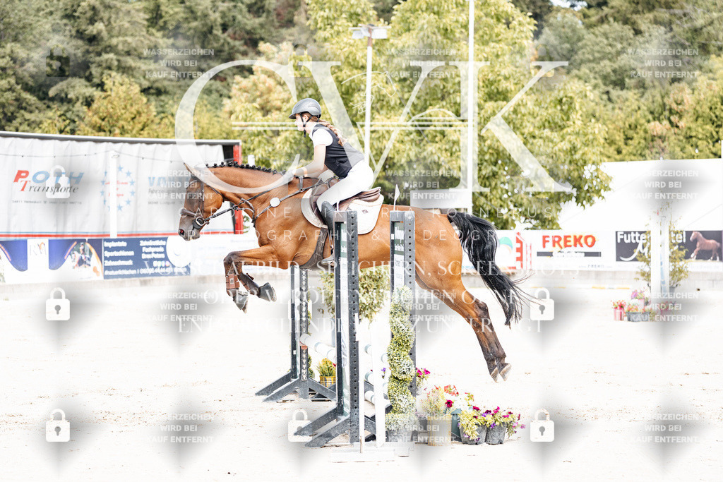 CK906574 | Turnierfotografie Pferdefotografie Trier Rheinland-Pfalz Pferdesport Reitsport Tierfotografie Sportfotografie Pferdevideo Pferdevideografie Equestrianvideography equestrianphotography  - Realisiert mit Pictrs.com