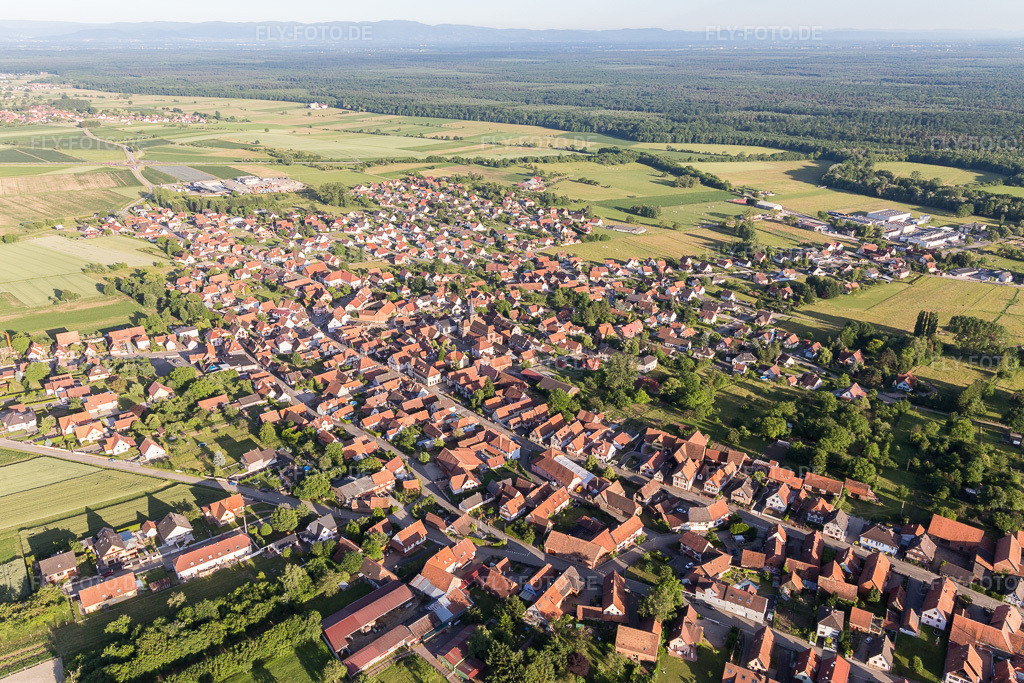Luftbild: landwirtschaftlichen Feldern und Nutzflächen in Surbourg im Bundesland Bas-Rhin in Frankreich. Foto: IMG_100824.jpg vom 08.06.2017 durch Werner Riehm/FLY-FOTO.de