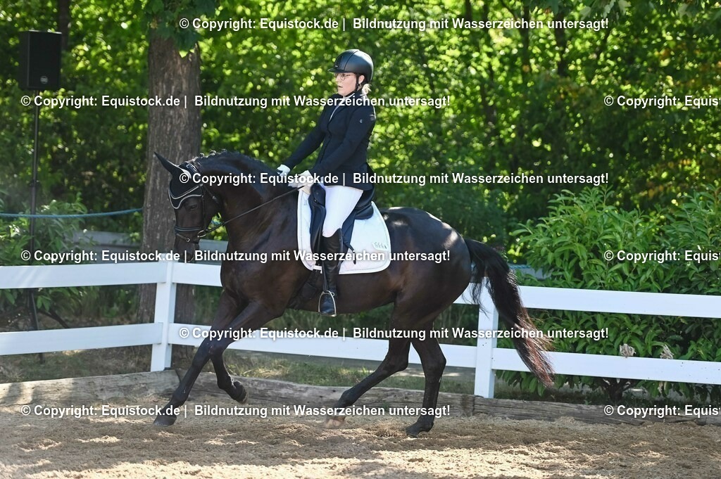 20230715_06_Dressurpferdeprfg. Kl.A_0350 | equistock
