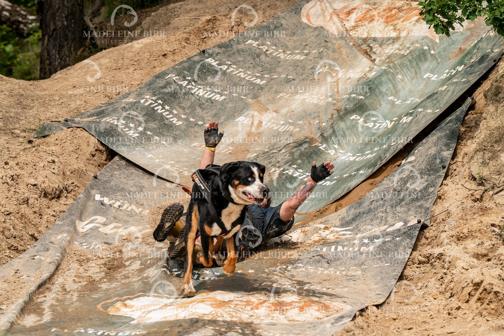 madeleinebirr.fotografie.2026.CC-hoope.samstag.14-50-18.203 | hundefotografie-birr