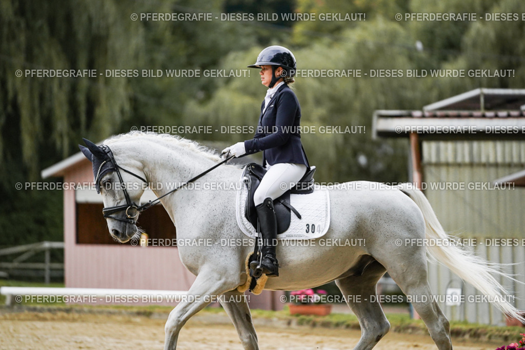 DSC06501 | Pferdegrafie