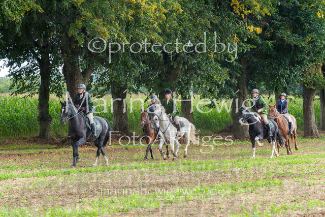 Jagd Perdoel_MarinaHewigMCH04933 | Fotografie, FotoArt, PferdesportArt, Pferdesportfotografie, Landschaftsfotografie, Reisefotografie, Reise, Pferde - Realisiert mit Pictrs.com
