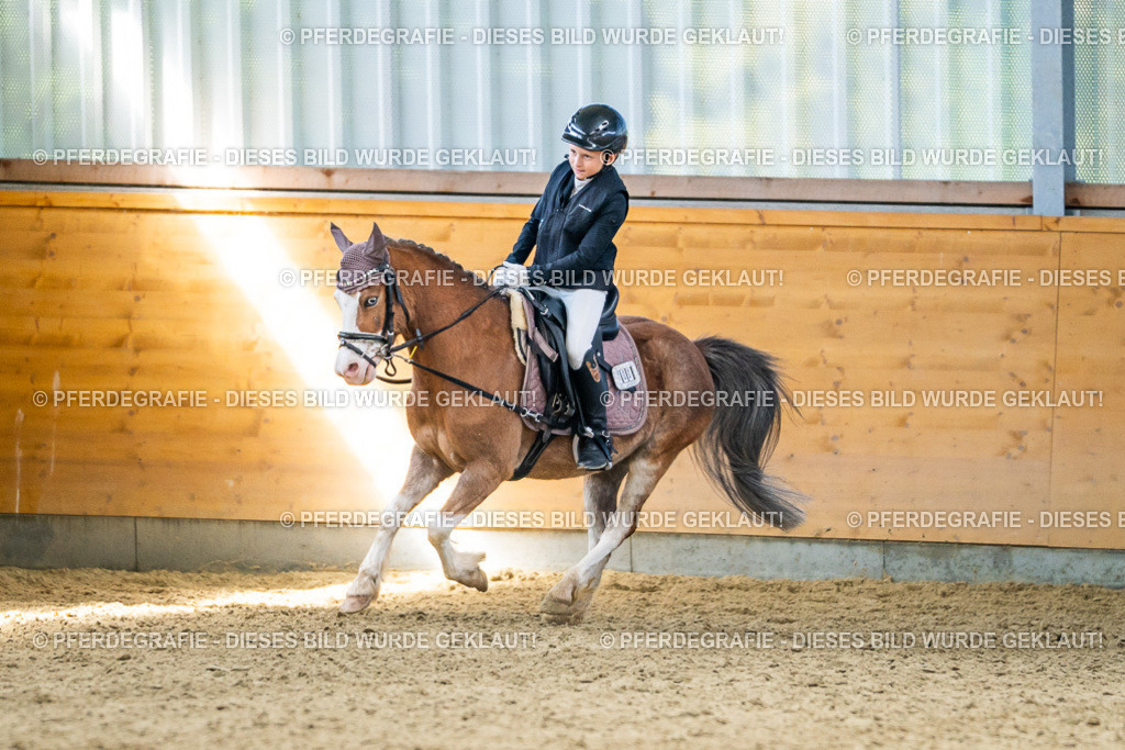 DSC02987 | Pferdegrafie