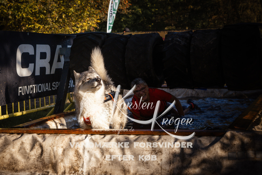 0935_ZZ91408 | kk-dogfotos