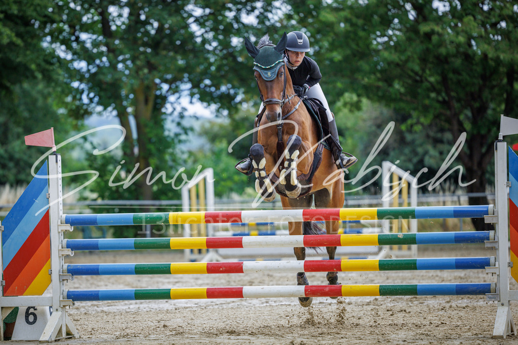 20260705-_3LI5867 | Tierfotografie Pferde, Hunde, Katzen, Haustiere.
Turnierfotografie Reitturniere, Reiten, Springreiten, Dressur in Hanau, dem Main-Kinzig-Kreis und dem Rhein-Main- Gebiet um Frankfurt
