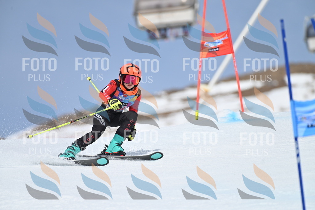 BGV_2145 | holidayphoto