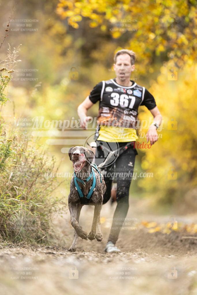 MompixPhotography_ICF_WC_2024_SA_Run_-299 | PayLife