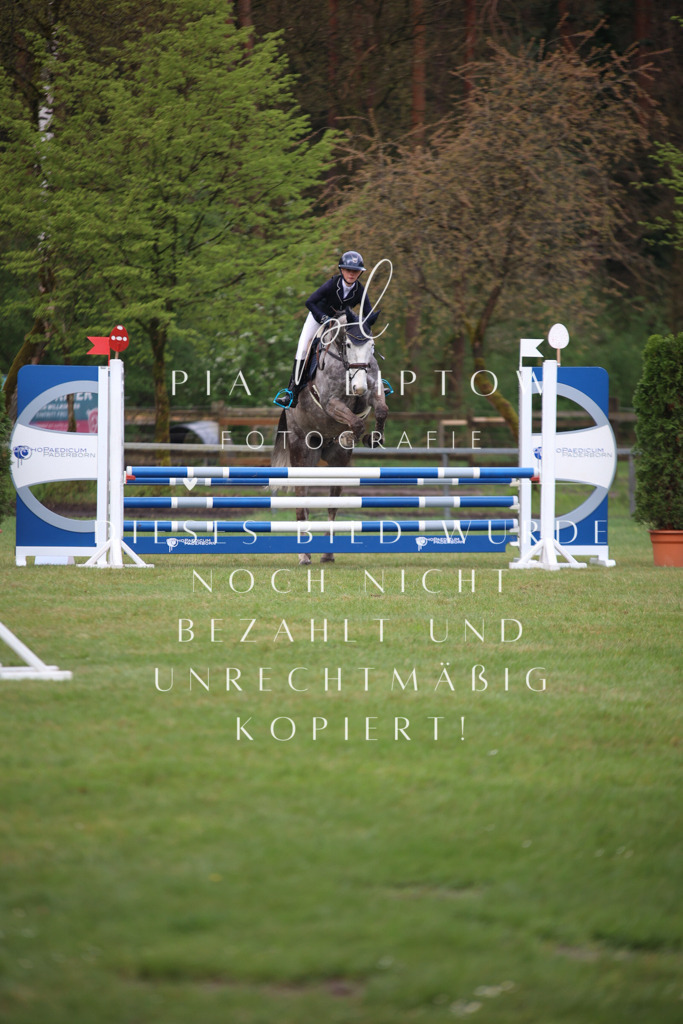 IMGT3226 | pl-fotografie