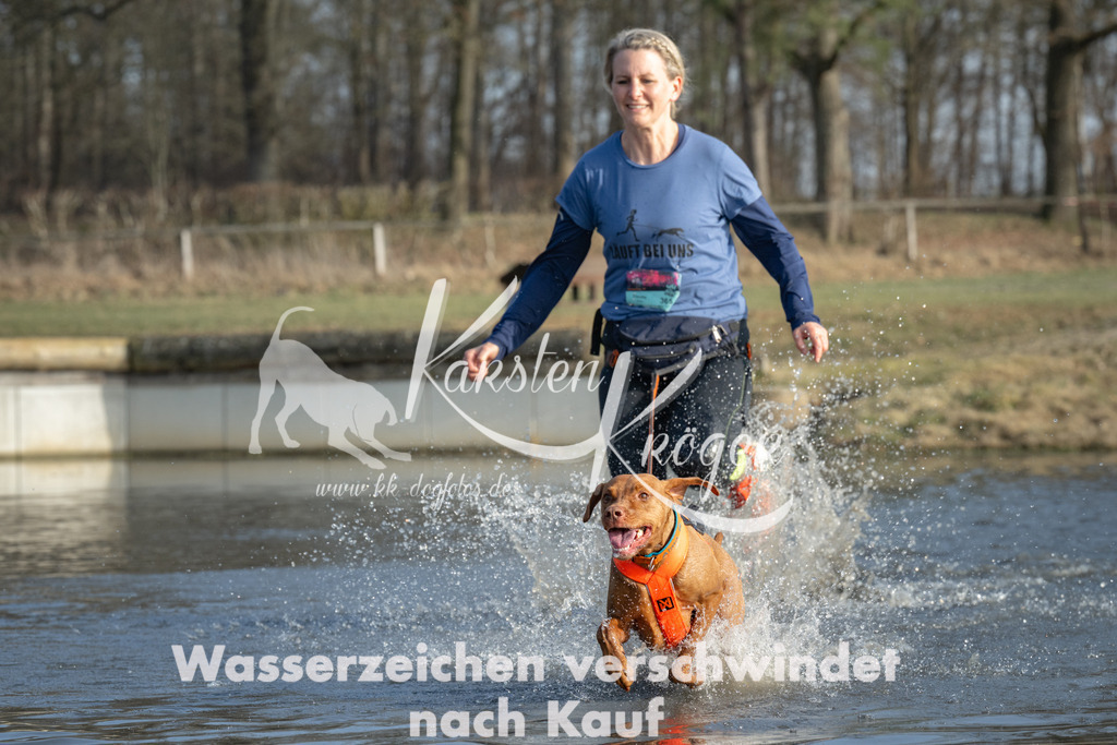 1531_ZZ91911 | kk-dogfotos