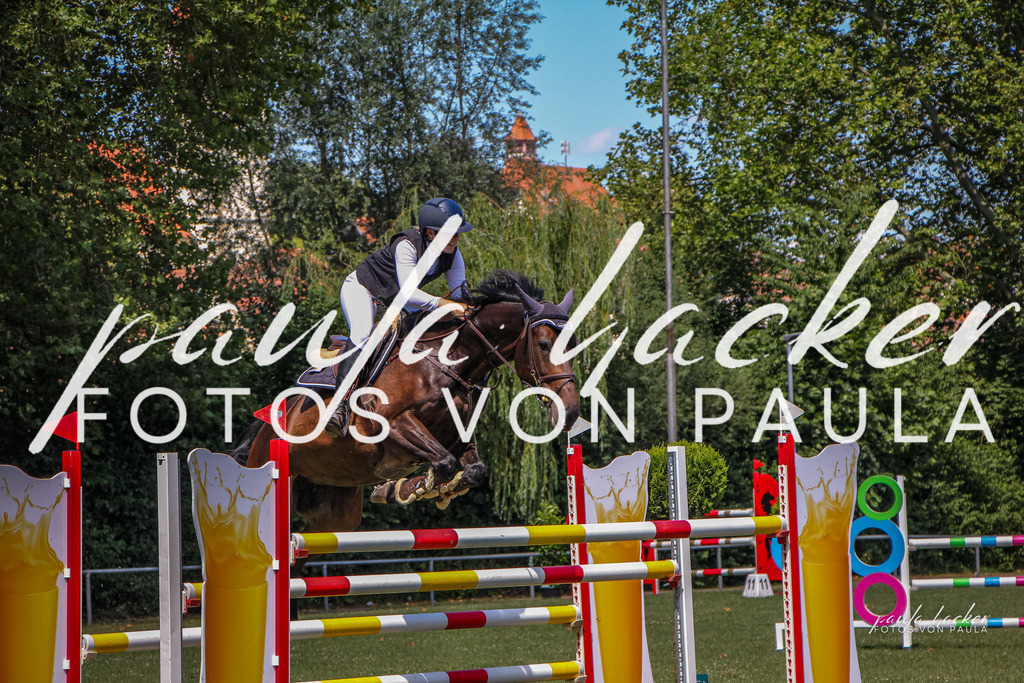 IMG_9686 | Erleben Sie dynamische Sport- und emotionale Tierfotografie in Süddeutschland mit Fotos von Paula. Spezialisiert auf Pferde- und Hundefotografie sowie Sportevents. Kontaktieren Sie mich für einzigartige und ausdrucksstarke Bilder Ihrer besonderen Momente. - Realisiert mit Pictrs.com