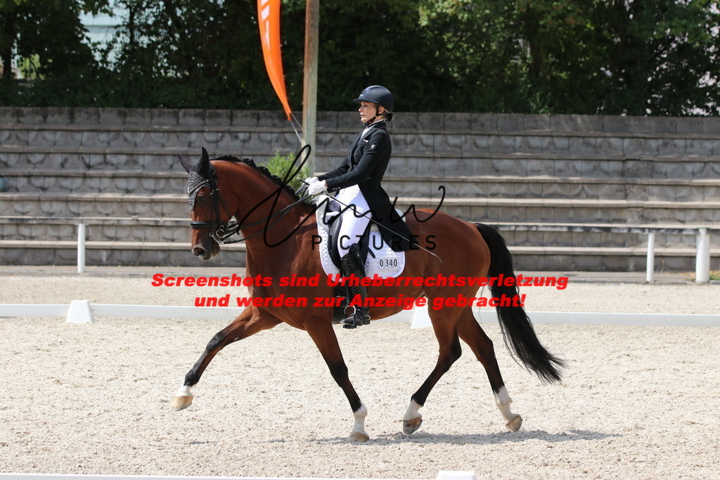 IMG_7518 | lmwpictures - Realisiert mit Pictrs.com