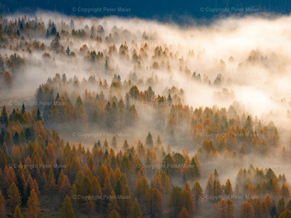 Lesachtal_Herbst-41 | default
