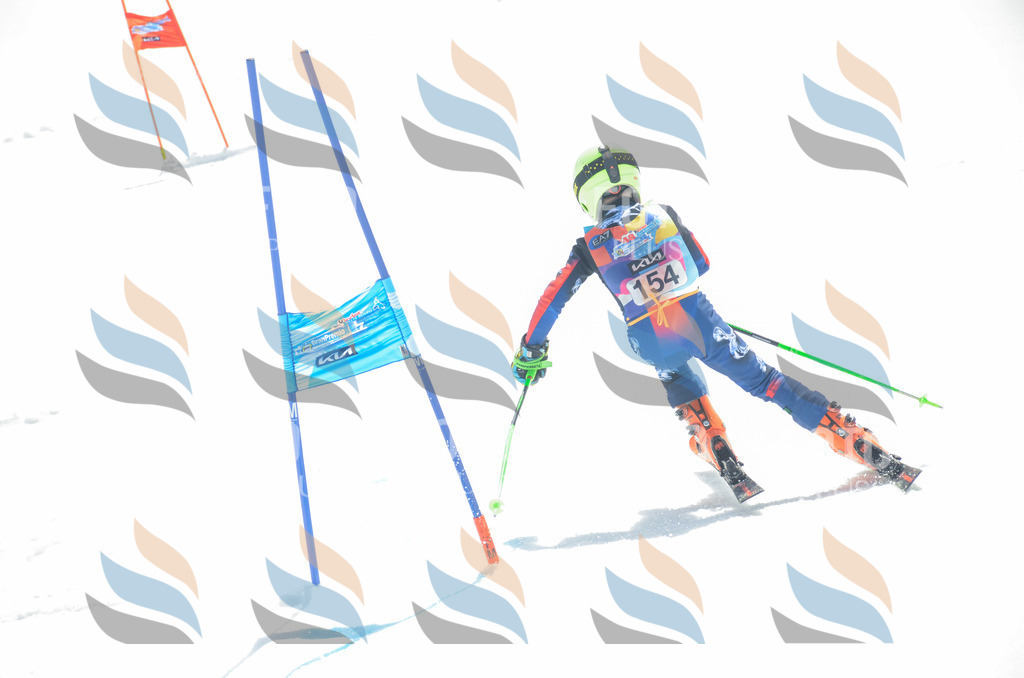 _ELE6360 | holidayphoto