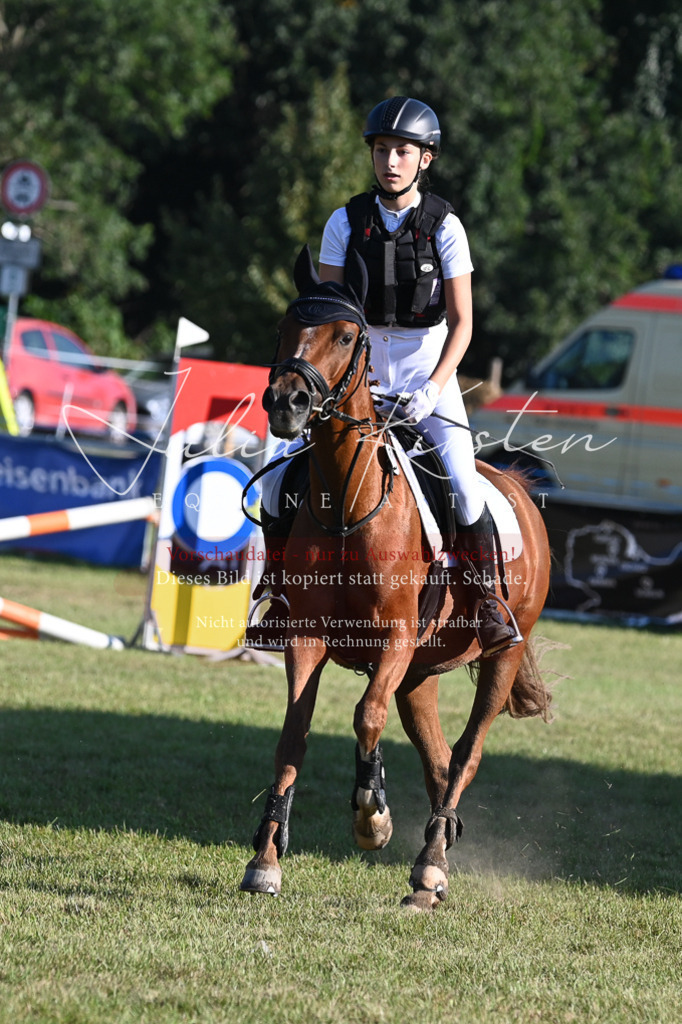 DSC_4800 | Pferde- und Turnierfotografie in Westsachsen. Pferdeportraits, Auftragszeichnungen und intuitive Kunst.