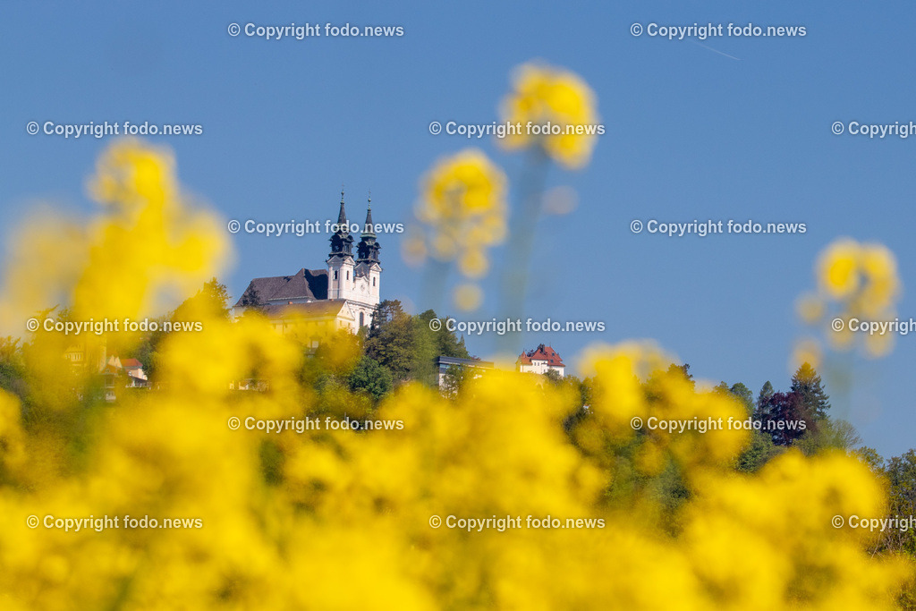 Poestlingbergkirche_ Wallfahrtsbasilika_ 05.05.2025-6 | 05.05.2025, LINZ, AUT, Themenbild, im Bild Pöstlingberg, Poestlingberg, Kirche, Berg, Fruehling, Himmel, Turm, Tuerme, Ausflugsziel, Poestlingbergkirche, Wallfahrtsbasilika, Wahrzeichen, Linz, Raps, Rapsfeld, Gelb, leuchtend, Pflanzen, Feature, Symbolbild