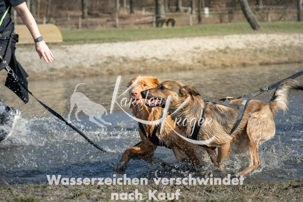 1355_ZZ98931 | kk-dogfotos