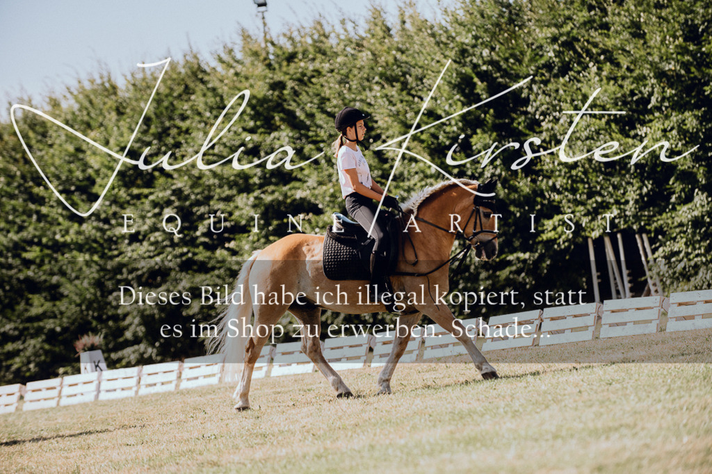 DSC_7196 | Pferde- und Turnierfotografie in Westsachsen. Pferdeportraits, Auftragszeichnungen und intuitive Kunst.