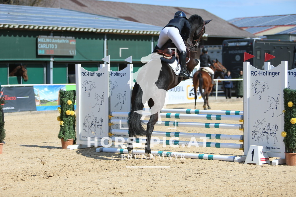 DL2Q3377 | Willkommen bei Brunnmayr - Design & Fotografie – Ihrem Spezialisten für Reitturniere und Pferdeveranstaltungen in Oberösterreich, Salzburg und Bayern! Seit über 17 Jahren sind wir leidenschaftlich dabei.