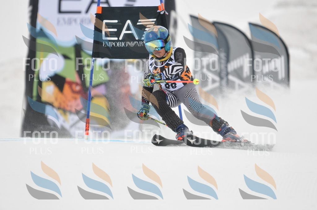 DSC_7958 | holidayphoto